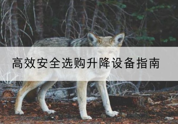 高平升降货梯厂家推荐-*安全选购升降设备指南