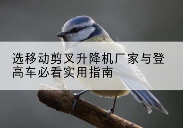 高平电动升降机厂家-选移动剪叉升降机厂家与登高车必看实用指南