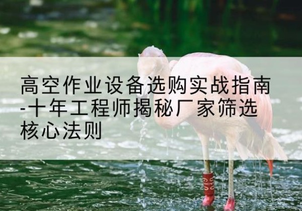 高平剪叉式升降机厂家-高空作业设备选购实战指南-十年工程师揭秘厂家筛选核心法则